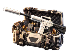 VAULT CS2 case