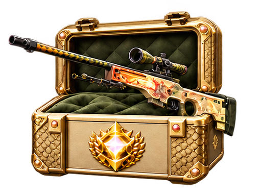 MAJOR CS2 case