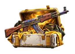 FIRST PULL CS2 case