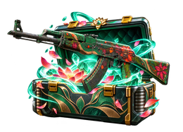 QUANTUM CS2 case