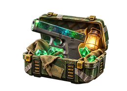 BUDGET CS2 case
