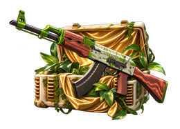 AK-47 CS2 case