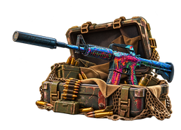 WARFRONT CS2 case