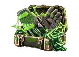 GLOVES CS2 case