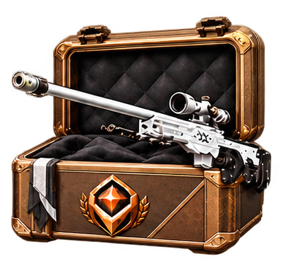 BRONZE CS2 case