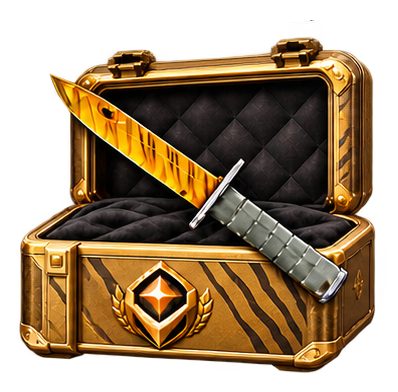 GOLD CS2 case