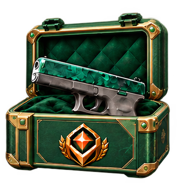 BRONZE PLUS CS2 case