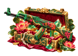HIDDEN FORTUNE CS2 case