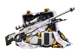 POCKET CS2 case