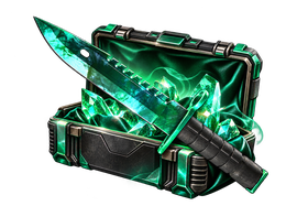 KNIVES CS2 case