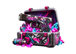 VALUE CS2 case