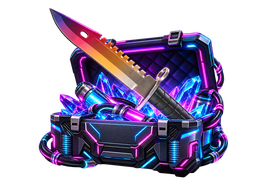 CYBER CS2 case