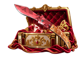 PRIME CS2 case